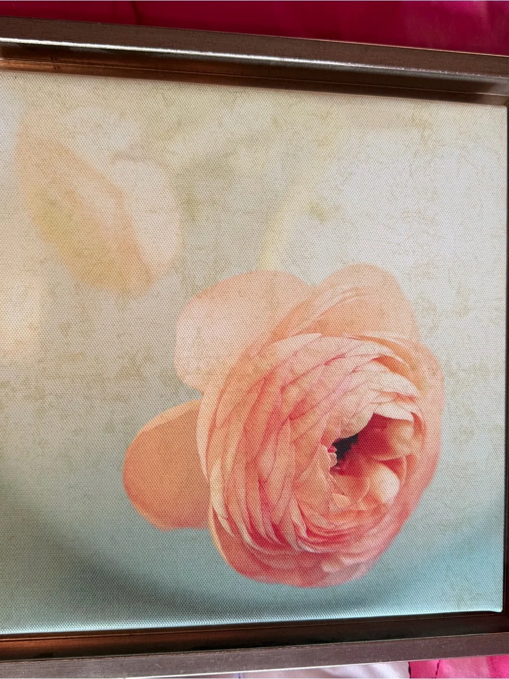 Framed Pink Floral Wall Art Pair